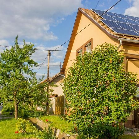 Berdi-Bene Vendeghaz Otel Segedin Dış mekan fotoğraf